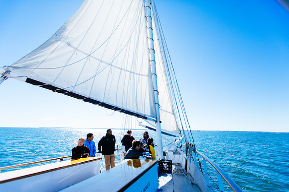 marinebio_soundwaters_jk_7407