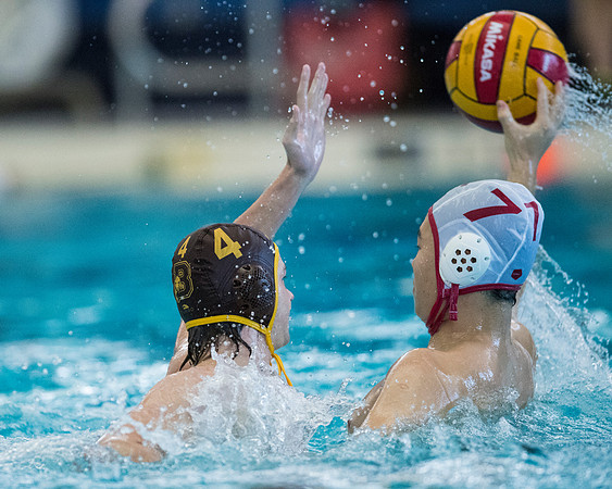 waterpolo_liquid4_2016-11-12_dburns_9149