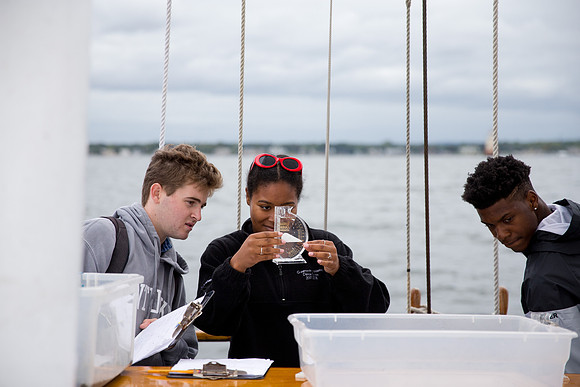 marinebio_soundwater_us_mkras_0282