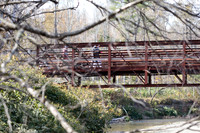 randolphvt1819_trip03_discgolf_bdf_7976