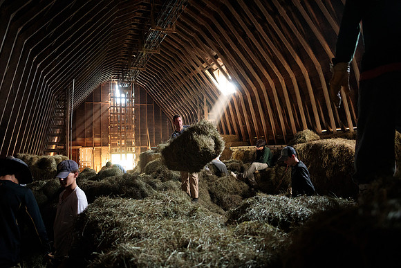 randolphvt1819_trip01_goatfarm_bdf_7368