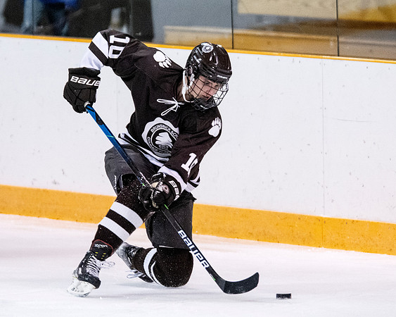 hockey_2022-01-12_dburns2_3171