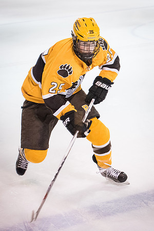 hockey_2016-02-17_wkl_8508