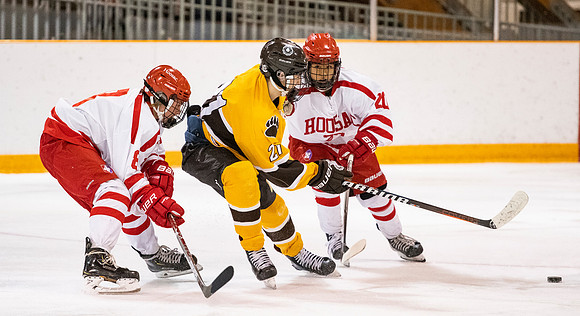 hockey_2019-01-12_dburns_4849
