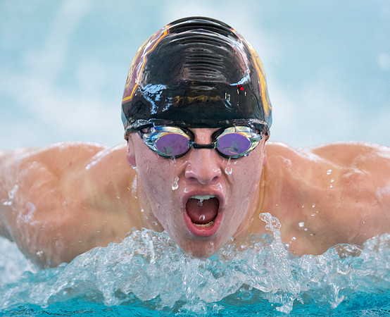 swimming_dburns_5284