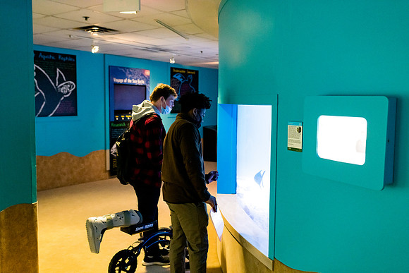 aquarium_us_ah_0003