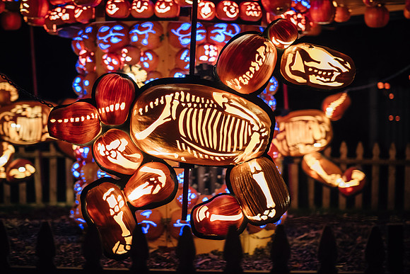 pumpkinblaze17_hp_3630