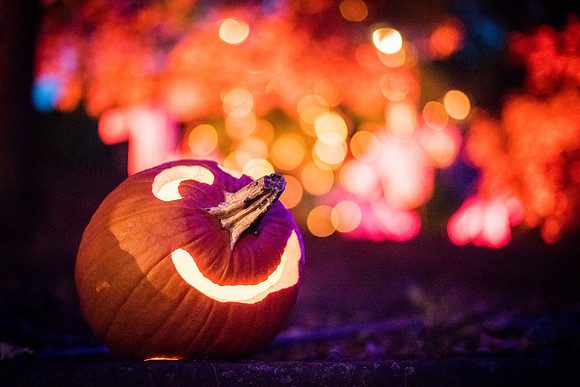 pumpkinblaze_wkl_3316