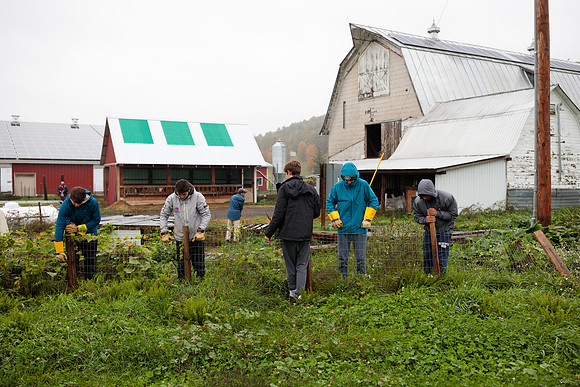 randolphvt1819_trip02_goatfarm_bdf_6242