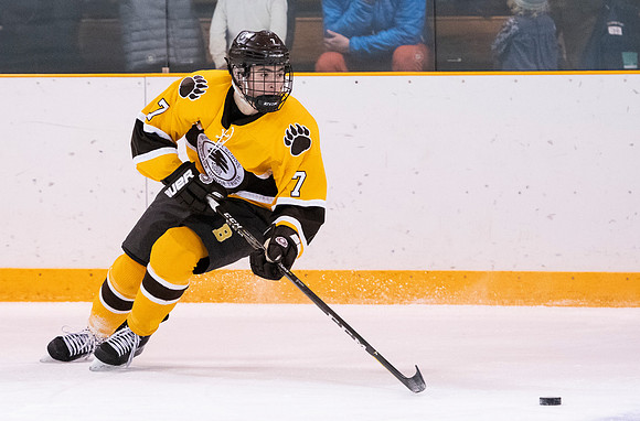 hockey_2019-01-12_dburns_4879