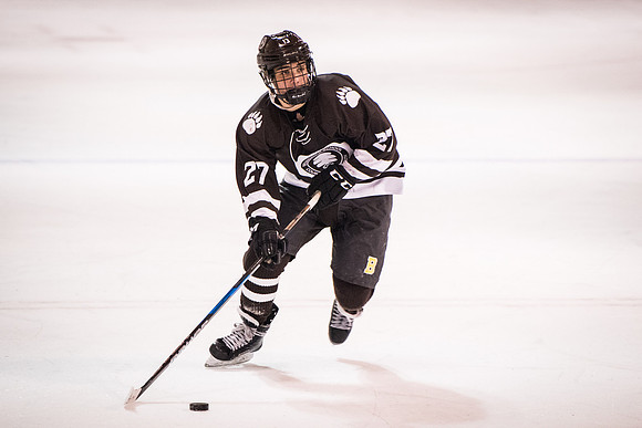 hockey_2018-01-29_wkl_9612