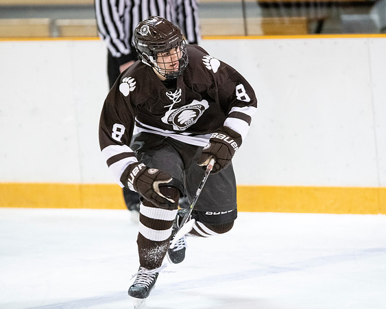 hockey_2022-02-02_dburns2_3555