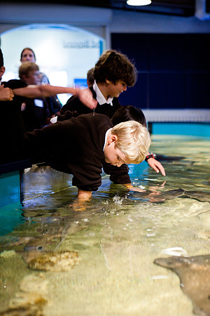 aquarium_ls_mkras_2326