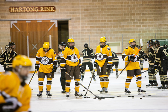 hockey_2014-01-09_westminster_mkras_0020