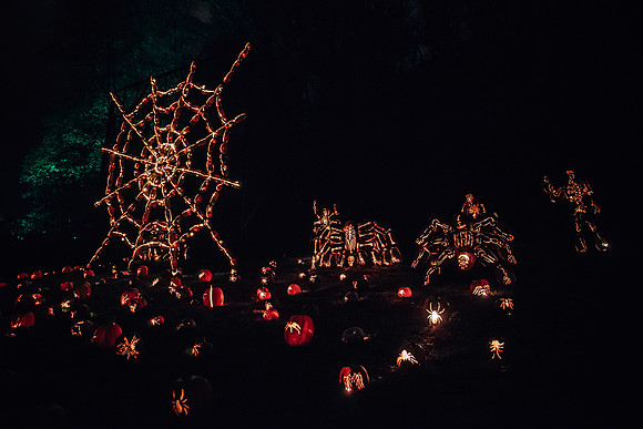 pumpkinblaze17_hp_3395