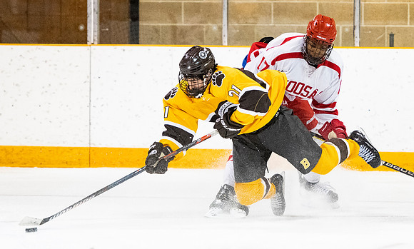 hockey_2019-01-12_dburns_4842