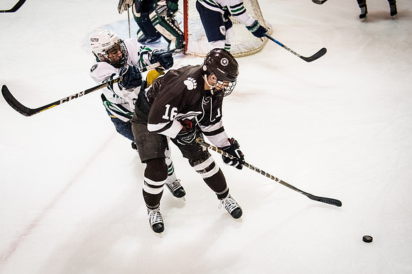 hockey_2018-01-27_wkl_8327