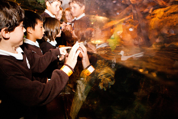 aquarium_ls_mkras_2372