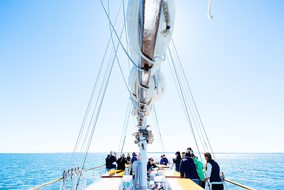 marinebio_soundwaters_jk_7845