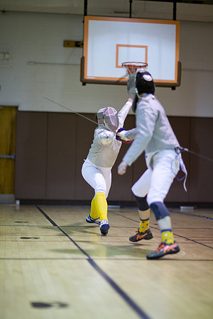 fencing_2019-01-10_mkras_0062