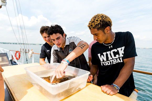 marinebio_soundwaters22_us_ah_0053