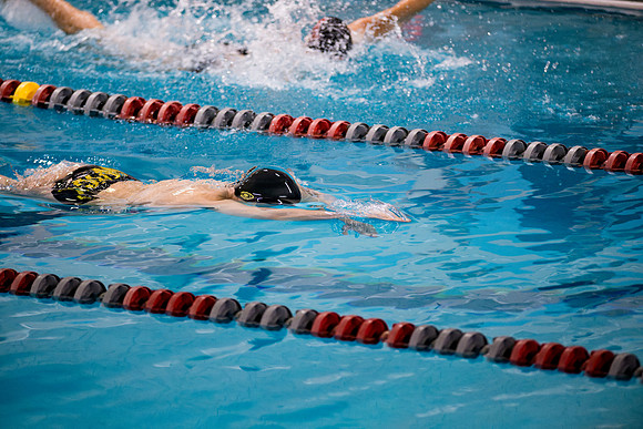 swimming_2025-02-08_ah_0088