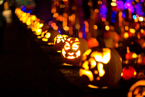 pumpkinblaze19_mkras_0075