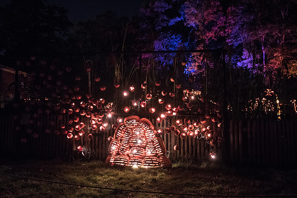 pumpkinblaze_hp_8451