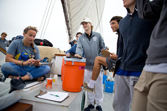 marinebio_soundwater_us_mkras_0294