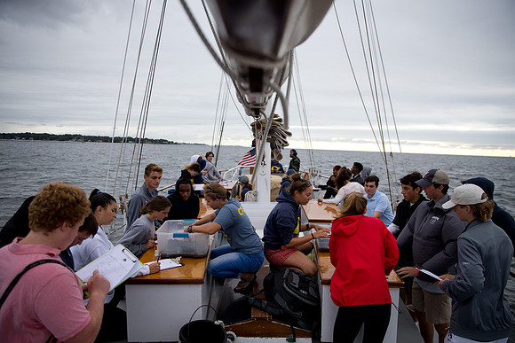 marinebio_soundwater_us_mkras_0109