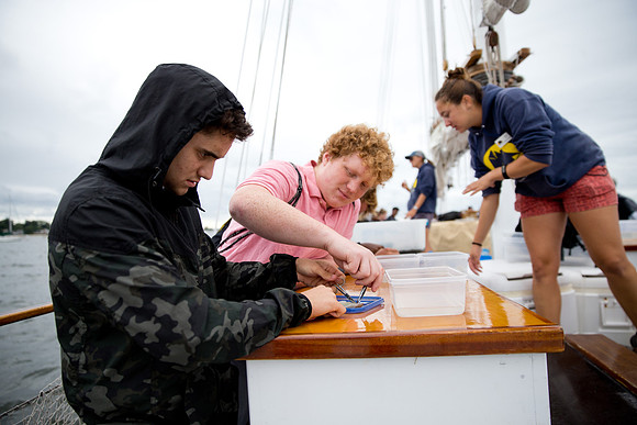 marinebio_soundwater_us_mkras_0369