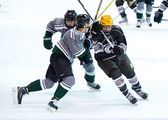 hockey_2016-01-09_dburns_3775
