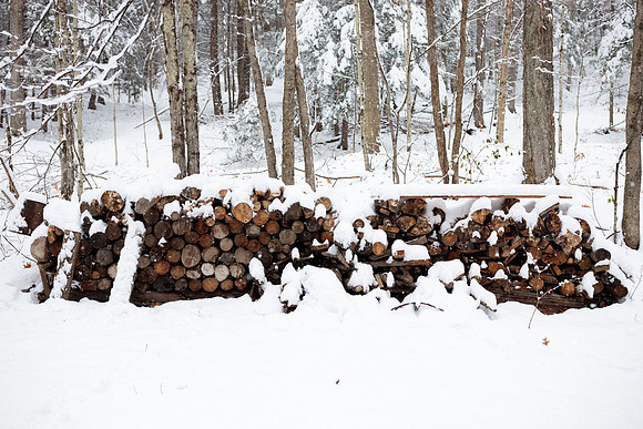 randolphvt1819_trip04_snowday_bdf_4702