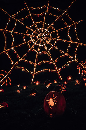 pumpkinblaze17_hp_3400