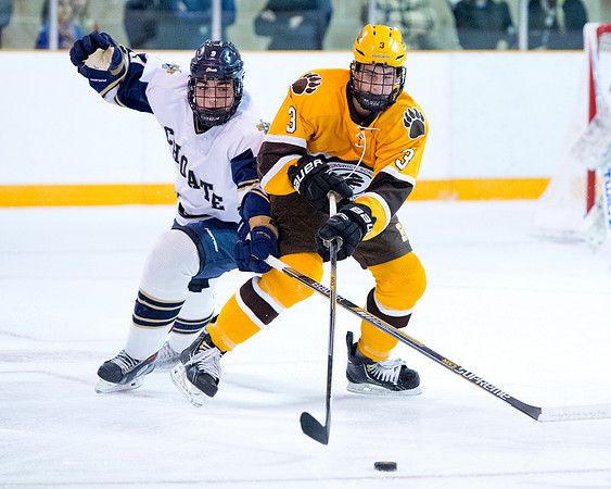 hockey_2015-12-04_db_9508