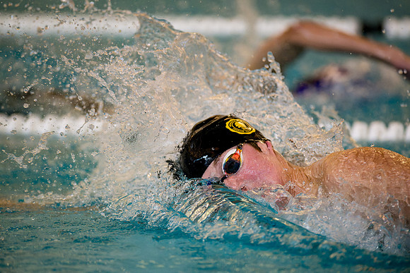 swimming_2025-01-29_ah_0031