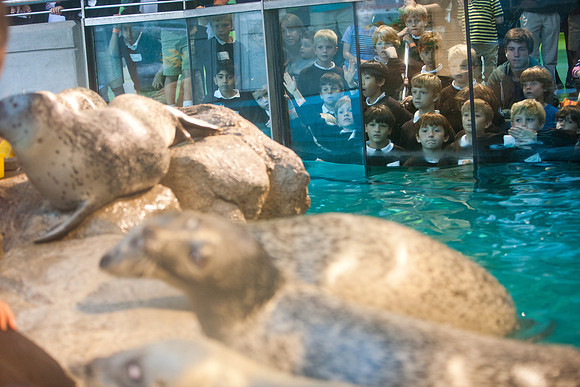 aquarium_ls_mkras_2390