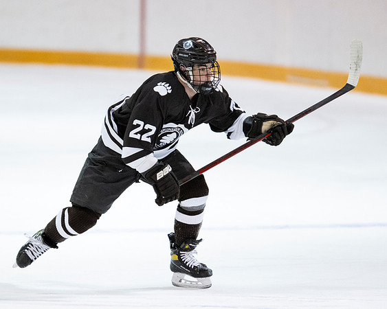 hockey_2022-01-12_dburns2_2902