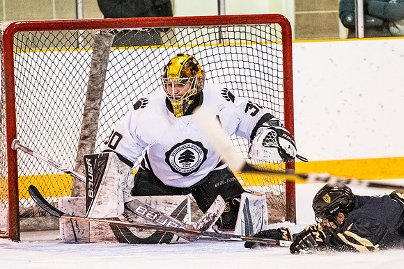 hockey_2018-12-08_dburns_3016