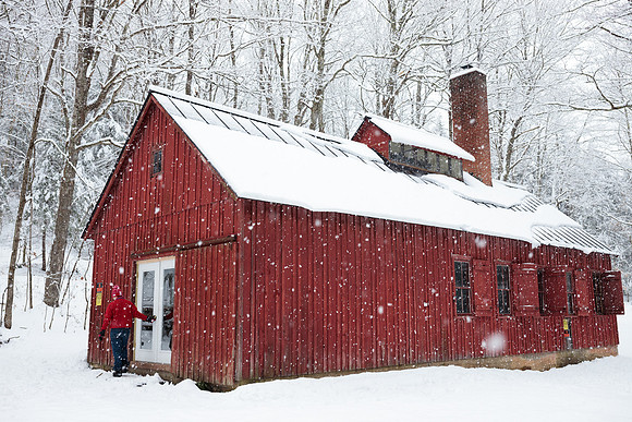 randolphvt1819_trip04_snowday_bdf_4755
