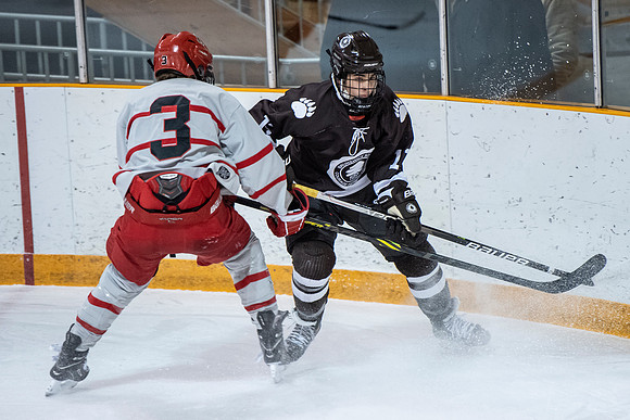 hockey_2022-02-02_dburns1_4493