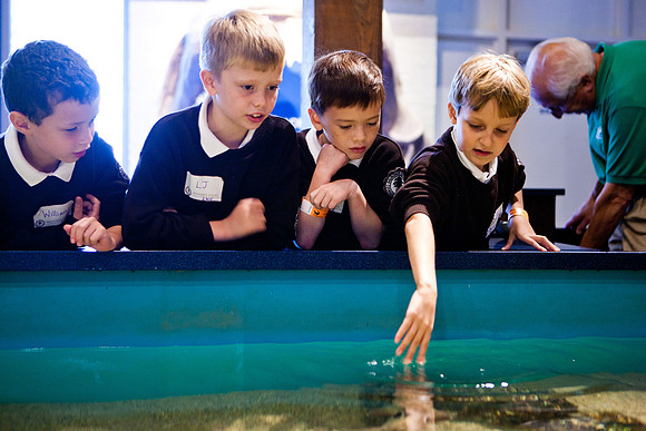 aquarium_ls_mkras_2312