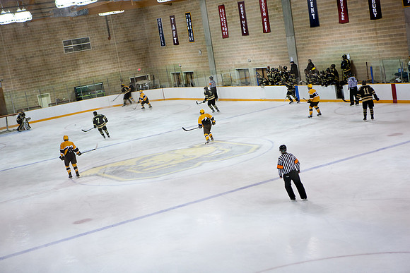 hockey_2014-01-09_westminster_mkras_0242