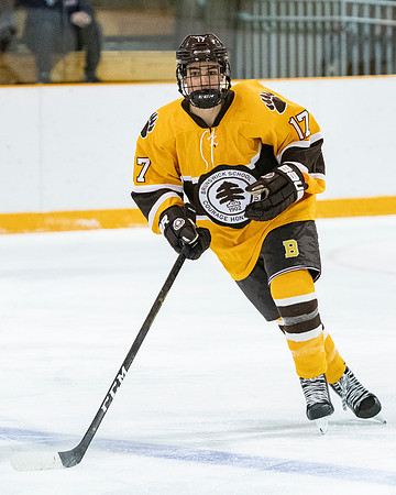 hockey_2019-01-12_dburns_4812