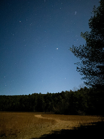randolphvt2425_trip04-6424_lp_4811