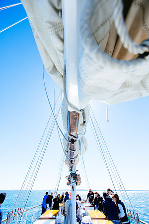 marinebio_soundwaters_jk_7847