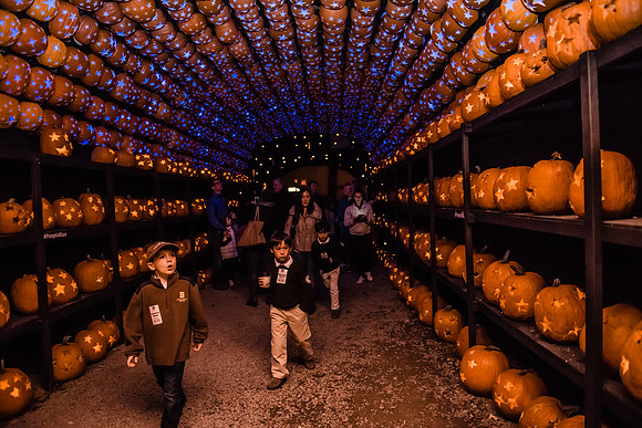 pumpkinblaze16_hp_9270