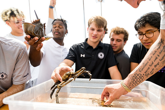 marinebio_soundwaters22_us_ah_0056