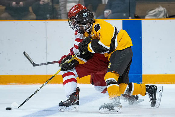 hockey_2019-01-12_dburns_4372