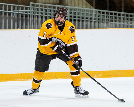 hockey_2019-01-12_dburns_4547